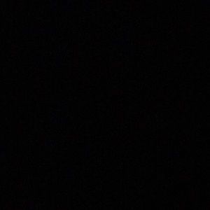 Meet your Posher, Daisey